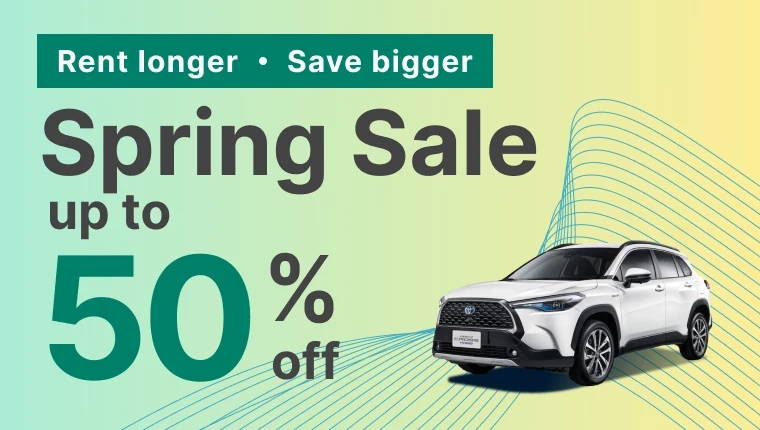 관련 정보 【할인】봄맞이 50% 할인