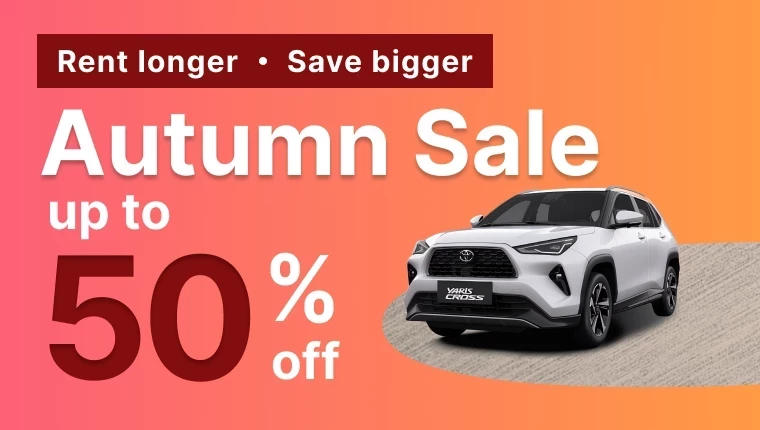 관련 정보 【할인】가을맞이 프로모션, 50% 할인